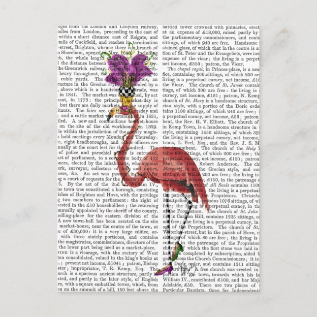 Carte Postale Flamant rose Mardi Gras Complet (Devant)