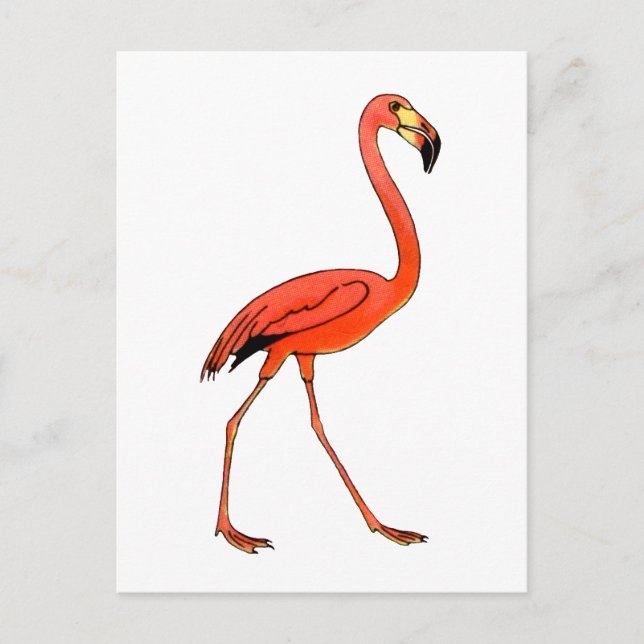 Carte Postale Flamant rose rose (Devant)