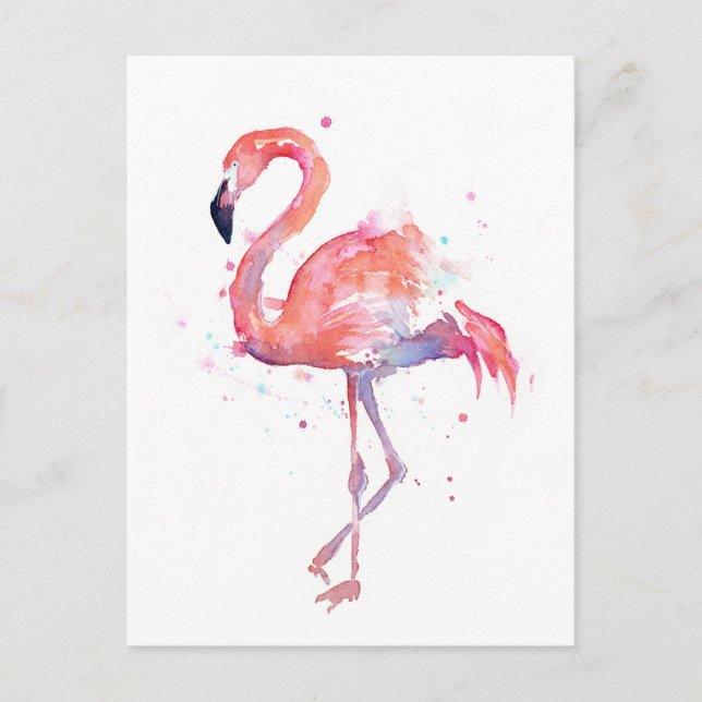 Carte postale Flamant rose rose (Devant)