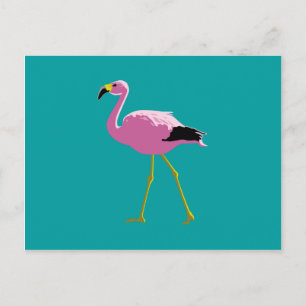 Carte Postale Flamant rose rose