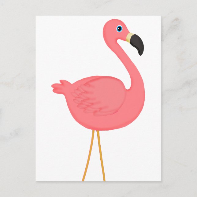 Carte Postale Flamant rose rose (Devant)