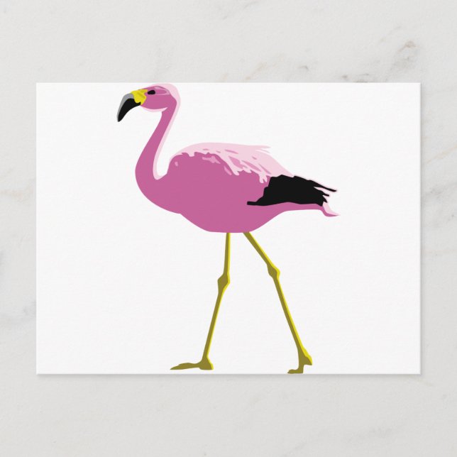 Carte Postale Flamant rose rose (Devant)
