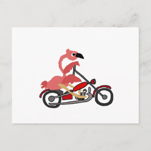 Carte Postale Flamant rose rose cool équitation Moto Cartoon