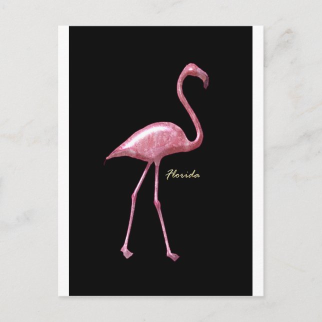 Carte Postale Flamant rose rose de Floride (Devant)