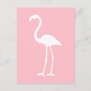 Carte Postale Flamant rose rose et blanc