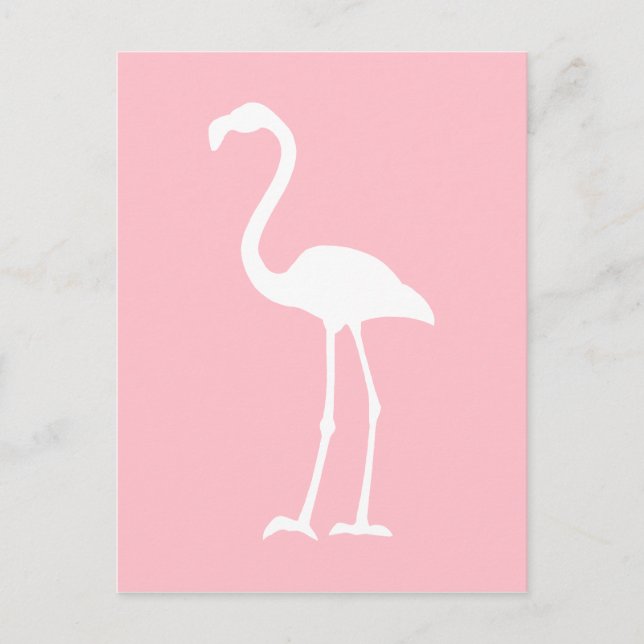 Carte Postale Flamant rose rose et blanc (Devant)