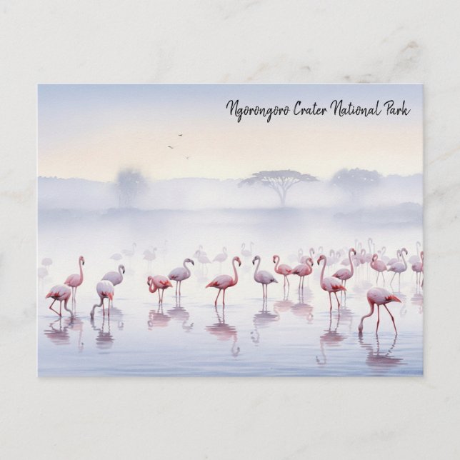 Carte Postale Flamants roses de la Tanzanie de Ngorongoro (Devant)
