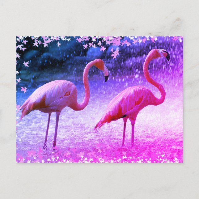 Carte Postale Flamants roses et cascade (Devant)