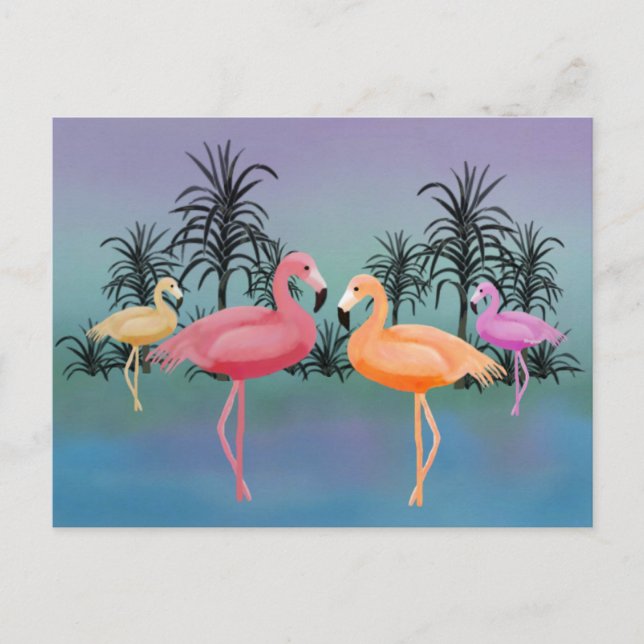 Carte Postale Flamants roses fabuleux (Devant)