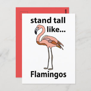 Carte Postale Flamants roses Hauts Comme Flamants roses Flamant