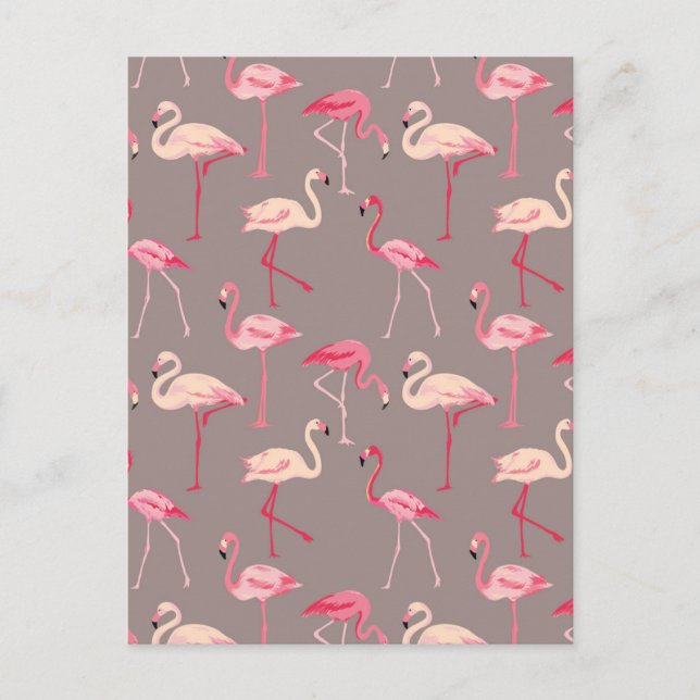 Carte Postale Flamants roses rétro 2 (Devant)