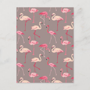 Carte Postale Flamants roses rétro 2