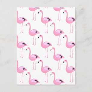 Carte Postale Flamants roses roses 2 2