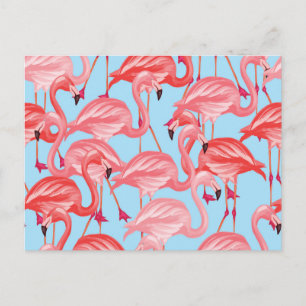 Carte Postale Flamants roses Roses Clairs Sur Bleu 2