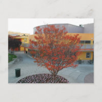 FlameTree Yerba Buena