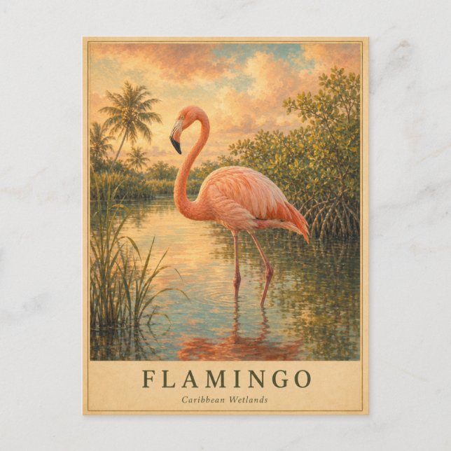 Carte Postale Flamingo Caribbean Wetlands VINTAGE (Devant)