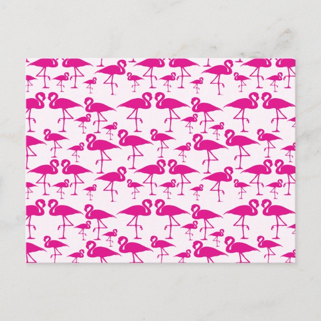 Carte Postale Flamingo rose (Devant)