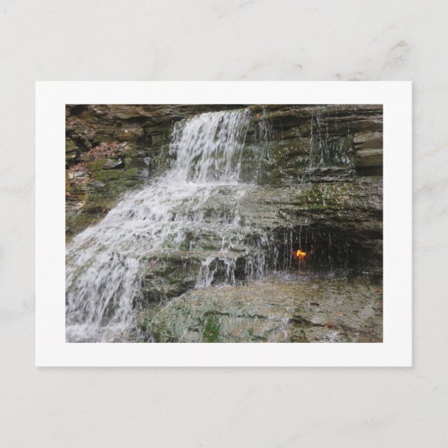 Carte Postale Flamme Éternelle WNY (Devant)