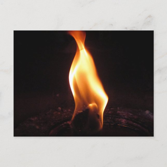 Carte Postale flamme grasse (Devant)