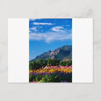 Carte Postale Flatirons et Fleurs, Boulder Colorado