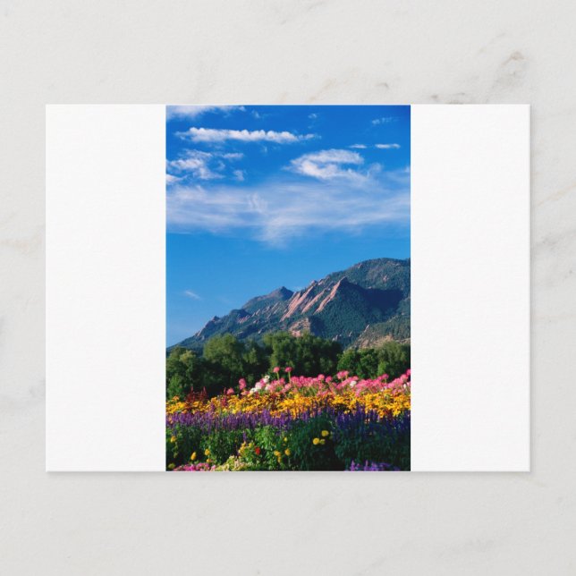 Carte Postale Flatirons et Fleurs, Boulder Colorado (Devant)