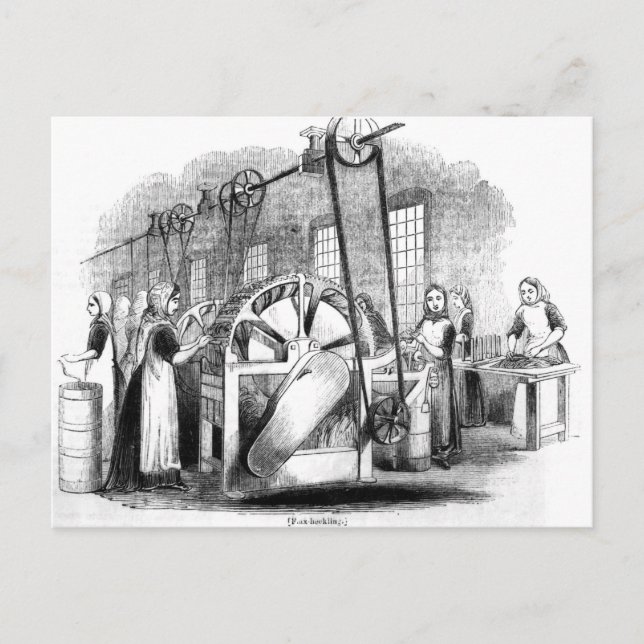 Carte Postale Flax Heckling (Devant)