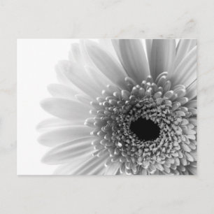 Carte Postale Fleur