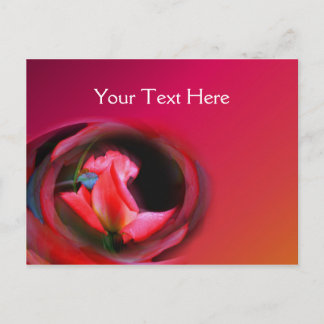 Carte Postale Fleur Abstraite Rosebud rose chaud
