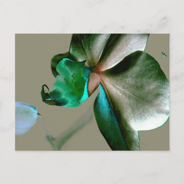 Carte Postale Fleur artistique dans les tons bleu, vert et gris (Devant)