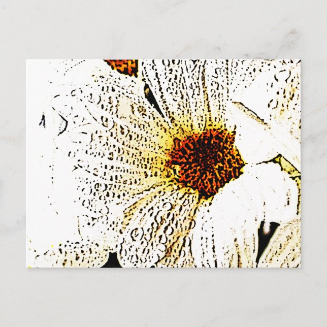 Carte Postale Fleur blanche (Devant)