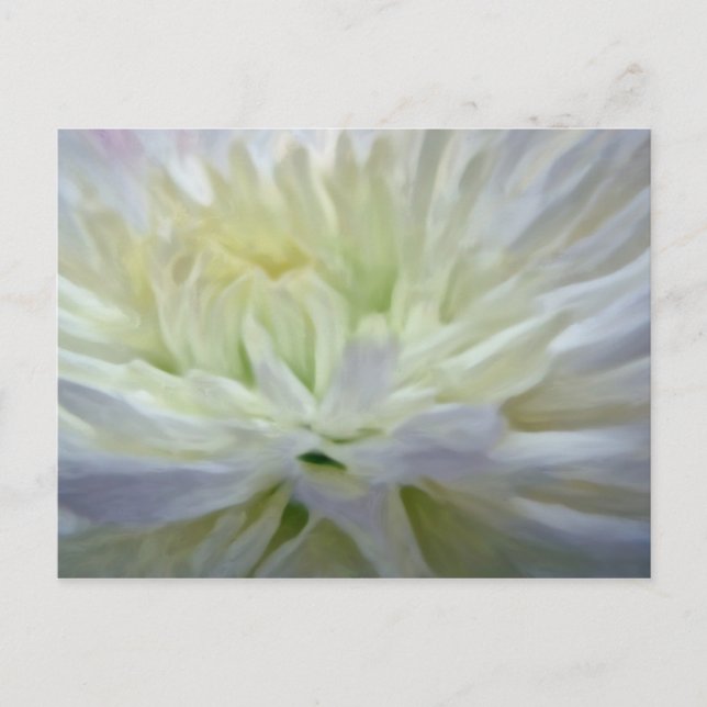 Carte Postale Fleur blanche (Devant)