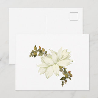 Carte Postale Fleur Blanche et Feuillage Simplistes