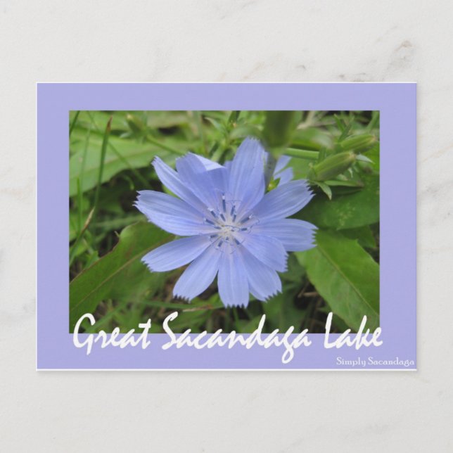 Carte Postale Fleur bleue (Devant)