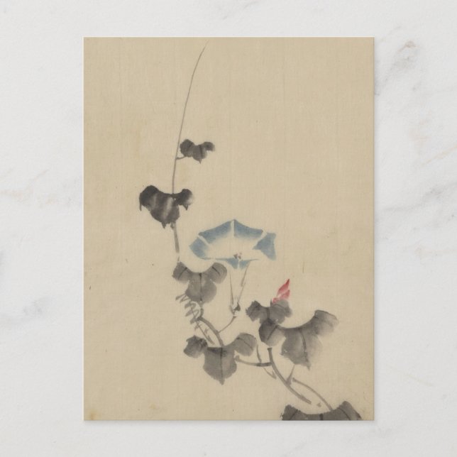 Carte Postale Fleur bleue de volubilis sur la vigne par Hokusai (Devant)