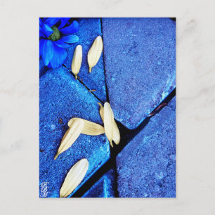 Carte Postale Fleur bleue et pétales jaunes