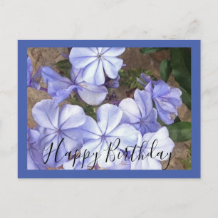 Carte Postale Fleur bleue manuscrite