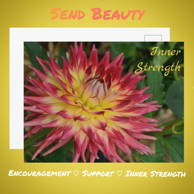 Carte Postale Fleur botanique jaune et rouge Dahlia (Créateur téléchargé)