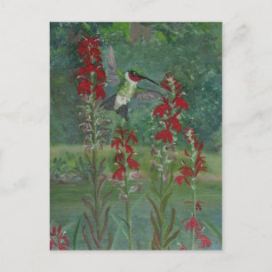 Carte Postale Fleur cardinale et gorge rubis