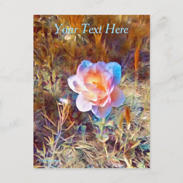 Carte Postale Fleur colorée (Devant)