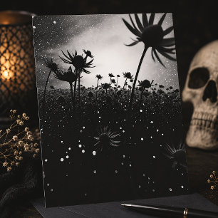 Carte Postale Fleur Cosmique Noire Et Blanche Étoilée