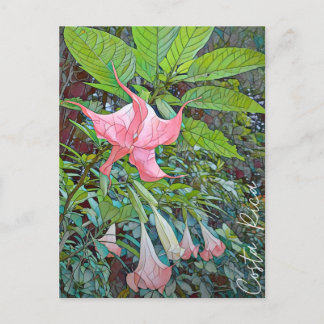 Carte postale Fleur Costa Rica