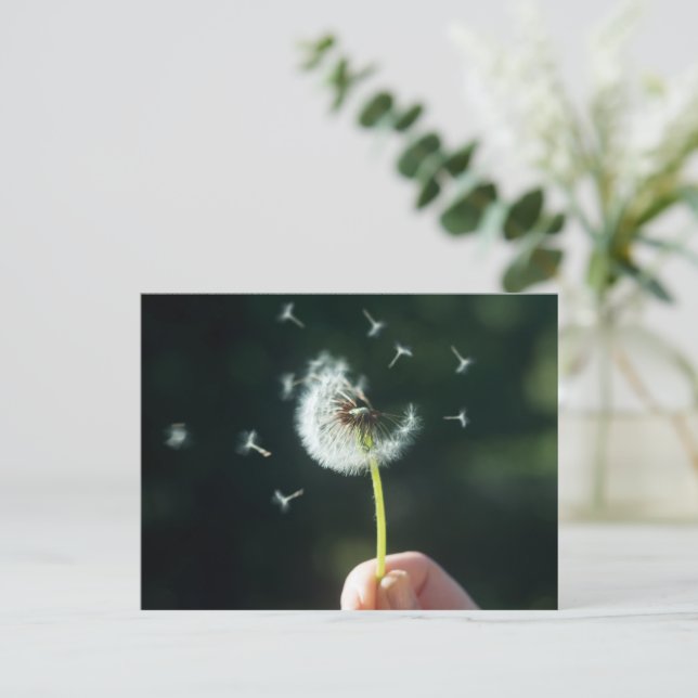 Carte Postale Fleur Dandelion (Debout devant)