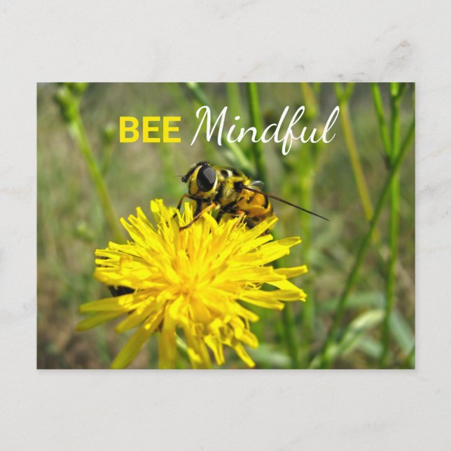 Carte postale Fleur Dandelion Bee Minutieux (Devant)