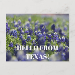 Carte Postale Fleur de Bleuet du Texas Fleur Sauvage Floral Bleu