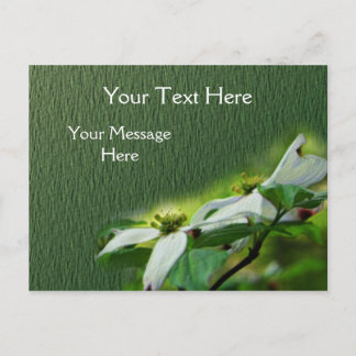 Carte Postale Fleur de bois de chien blanc