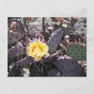 Carte Postale Fleur de cactus jaune au printemps