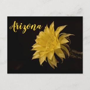Carte Postale Fleur de cactus jaune en fleur, Arizona