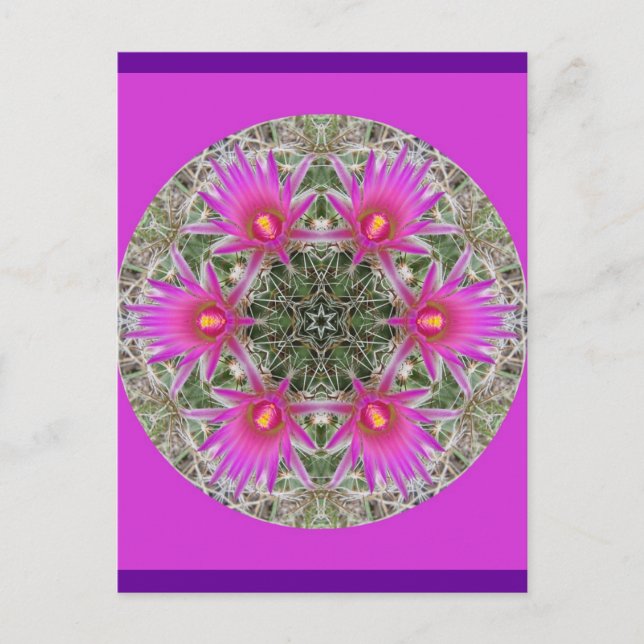 Carte Postale Fleur de cactus roses (Devant)