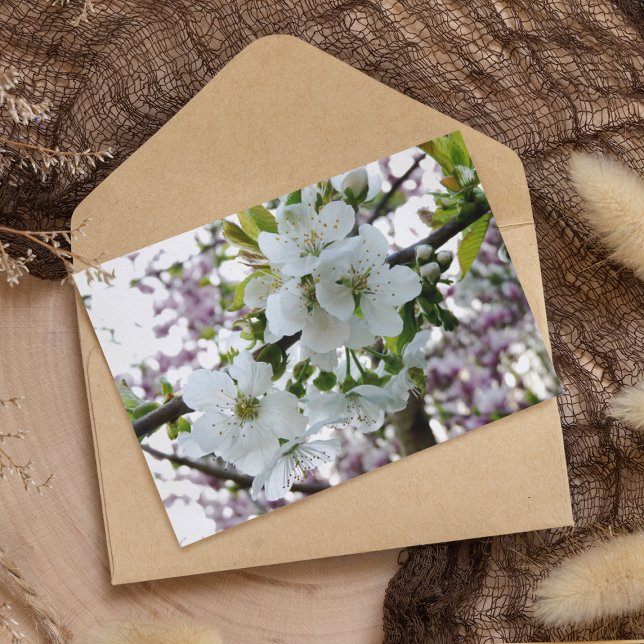 Carte Postale Fleur de cerise (Créateur téléchargé)
