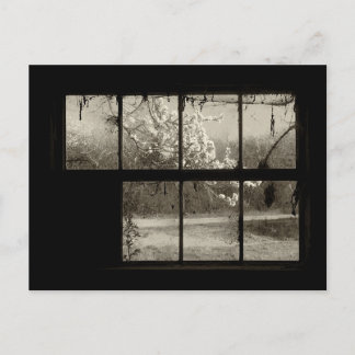 Carte Postale Fleur de cerisier à travers une vieille fenêtre de